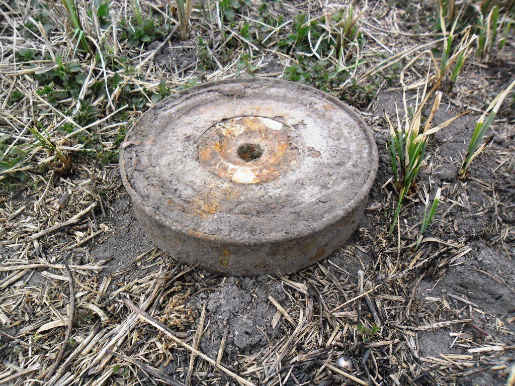 В лесу в Ивановском районе найден предмет, внешне похожий на мину