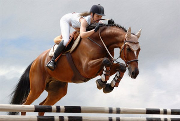 В Иванове пройдут соревнования по конному спорту