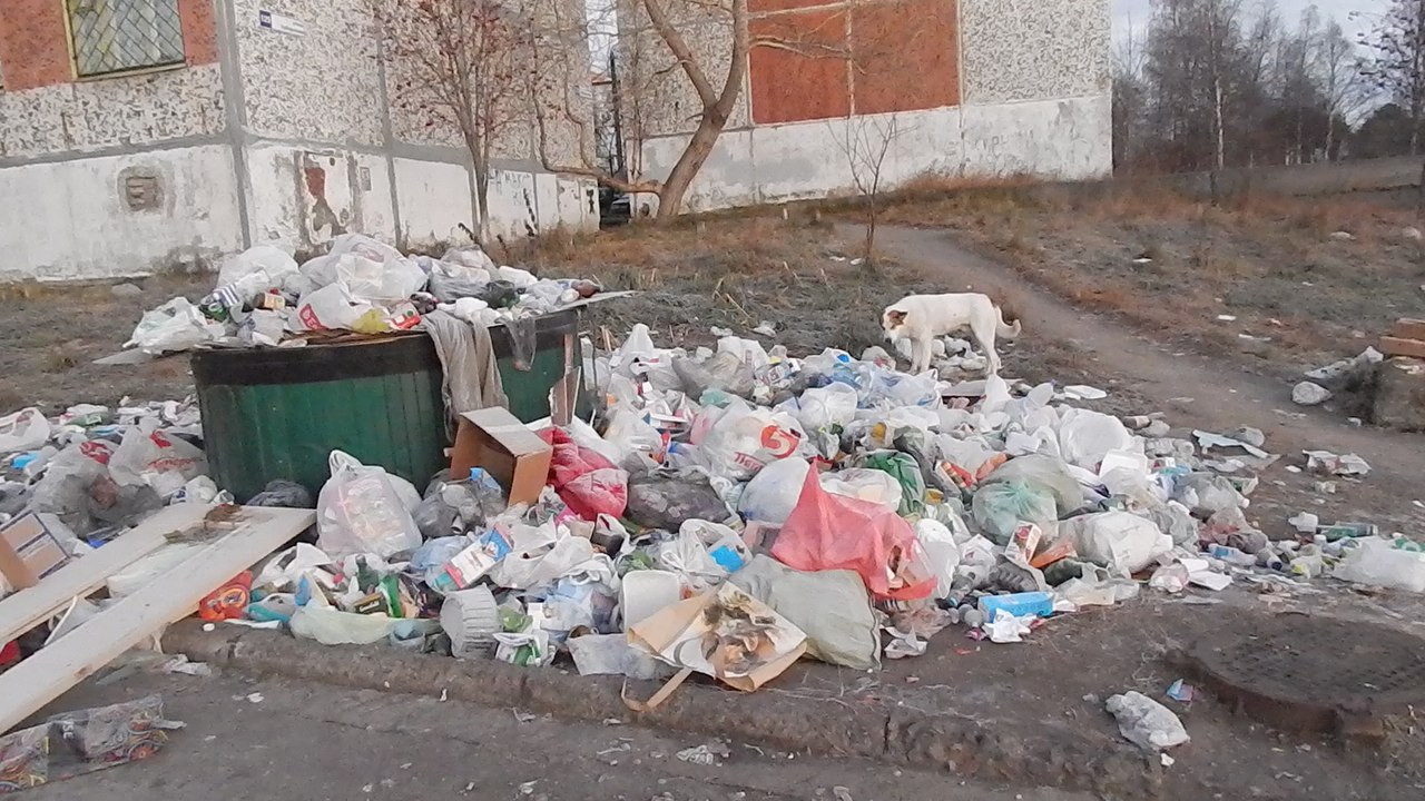 Региональный оператор ТКО не вывозил мусор из села Горицы Шуйского района