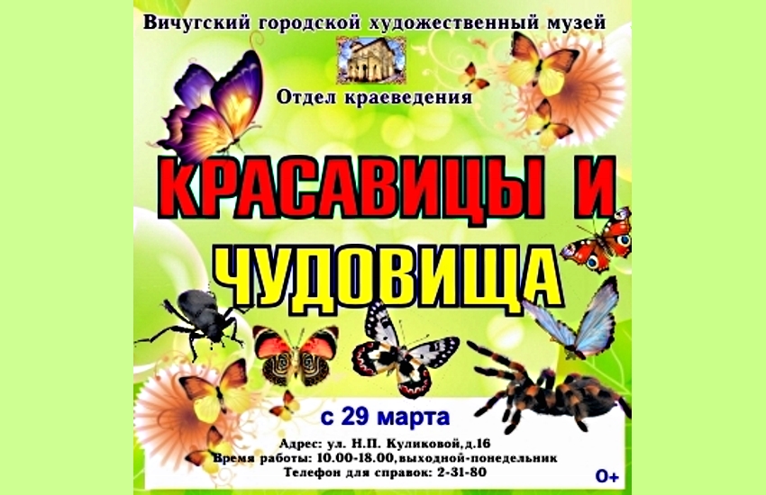 В Вичуге откроется выставка ивановского энтомолога Сергея Частилова