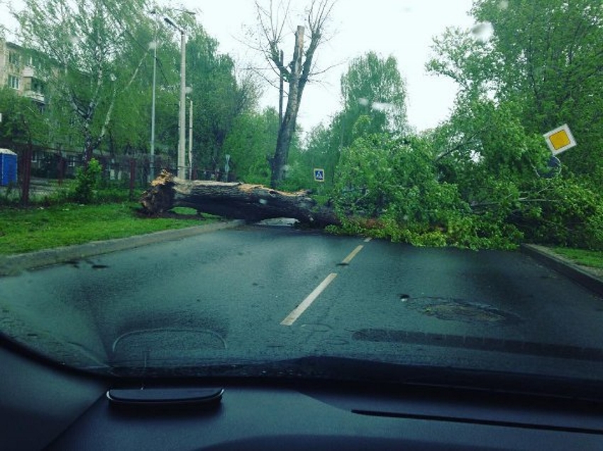 В Ивановской области устраняют последствия урагана (ФОТО)
