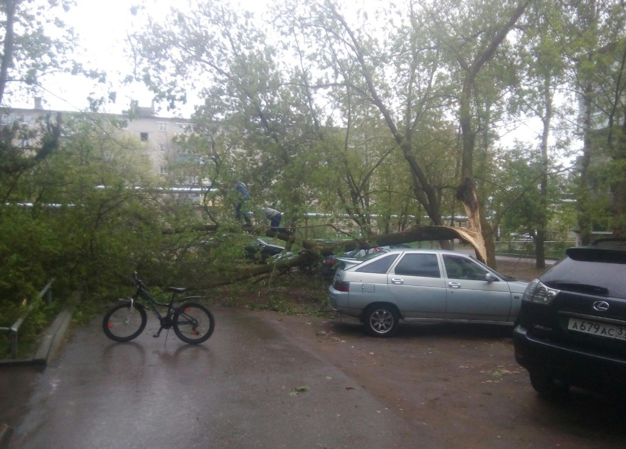 В Ивановской области продолжают устранять последствия урагана