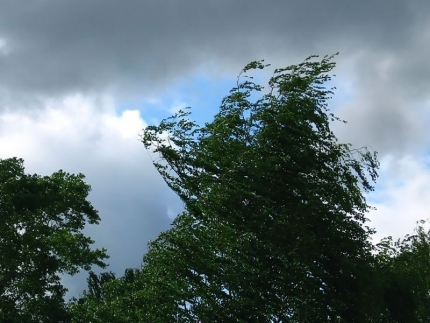 В Ивановской области вновь ожидаются дожди, местами пройдут грозы и град