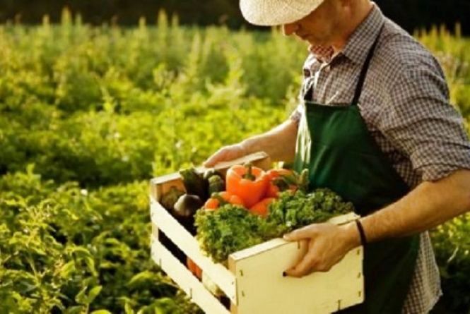 Для сельхозпроизводитей Ивановской области вводится новый вид господдержки