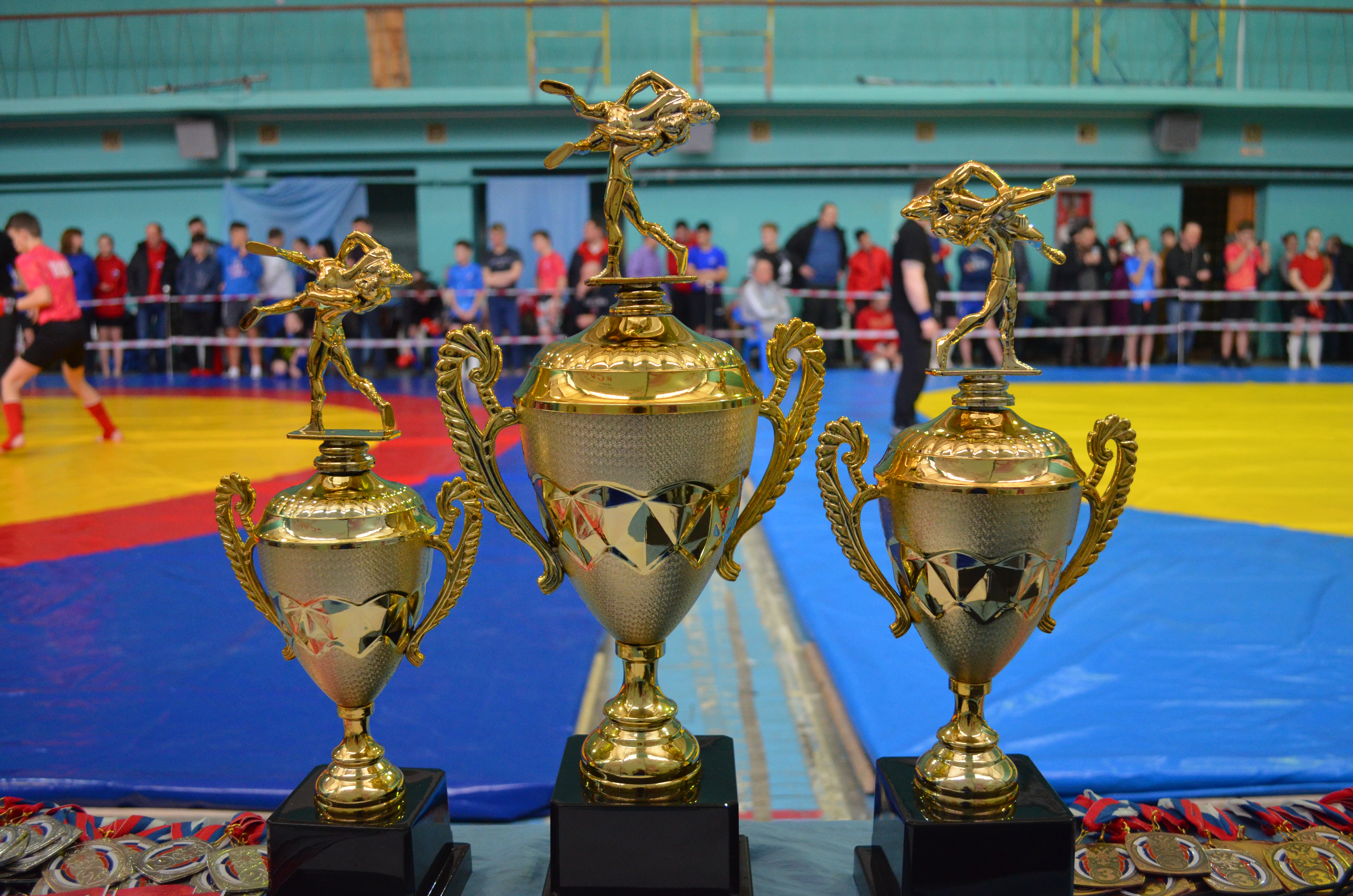 На окружном первенстве борцы Ивановской области завоевали более 50 медалей