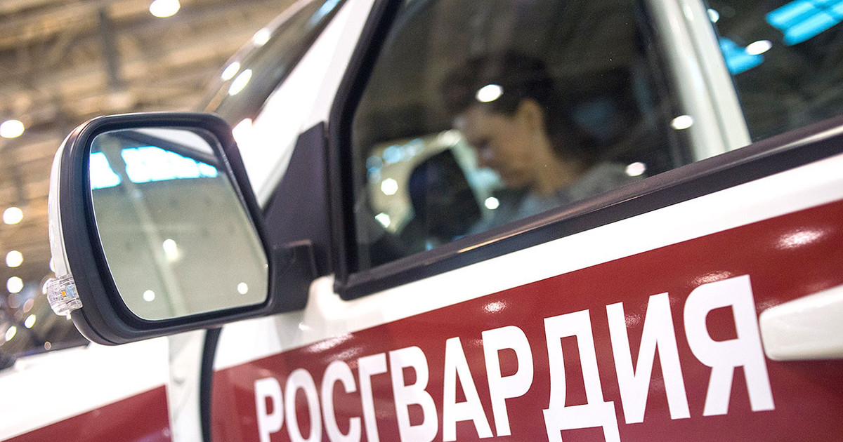 В Ивановской области росгвардейцы задержали банду грабителей торговых точек