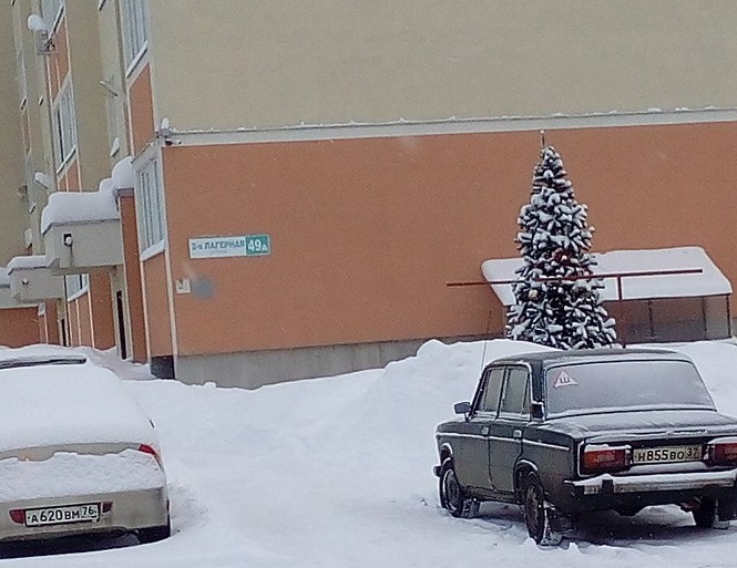 В праздник весны у некоторых домов в Иванове еще не убрали елки