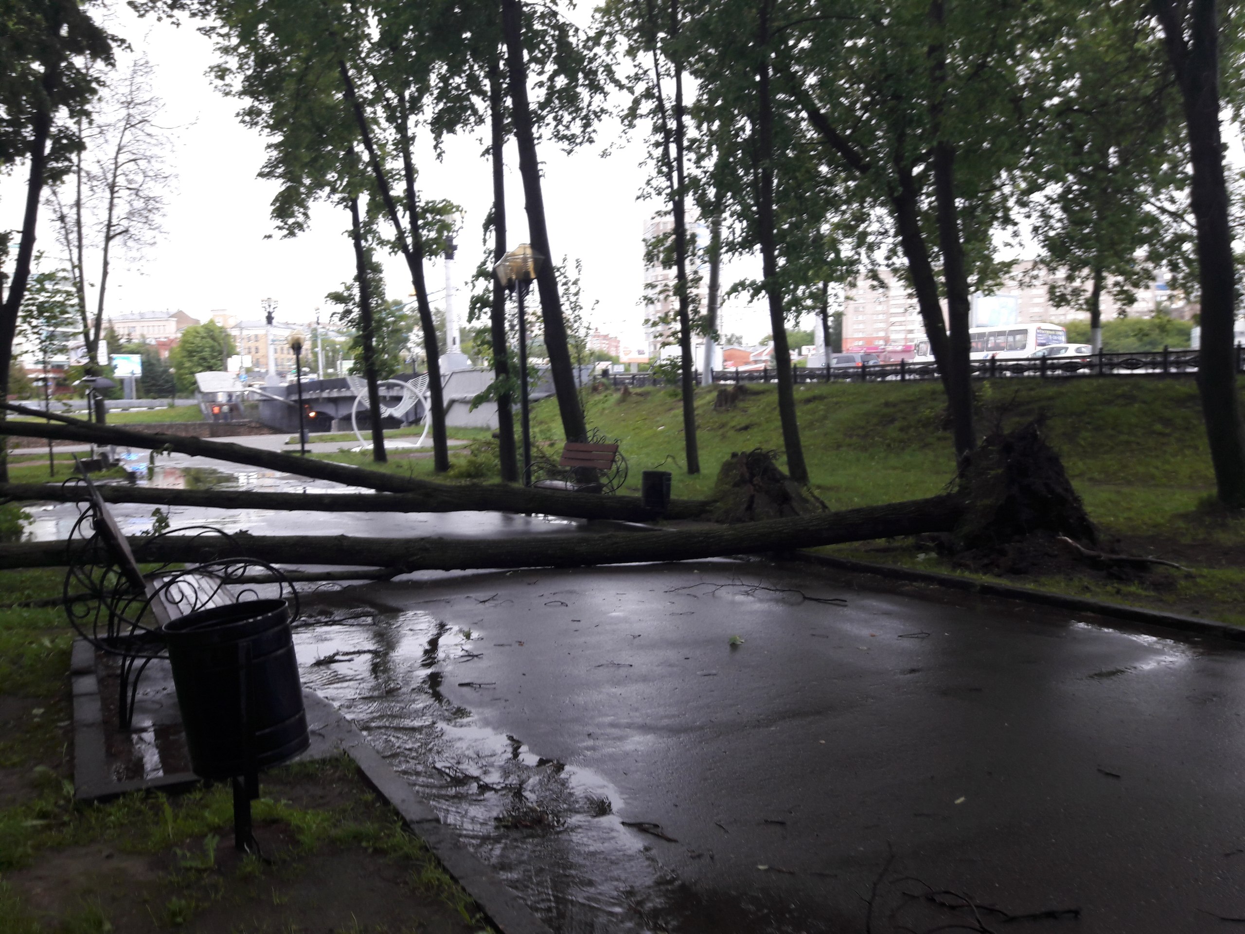 Сильный ветер с ливнем и градом в Иванове повалил деревья, сдул крыши и оставил без света дома (ВИДЕО, ФОТО)