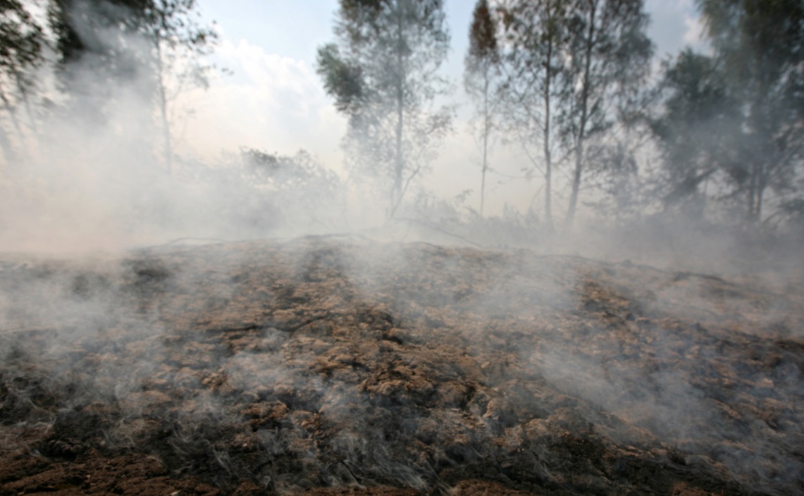 В Ивановской области снова горит торфяник