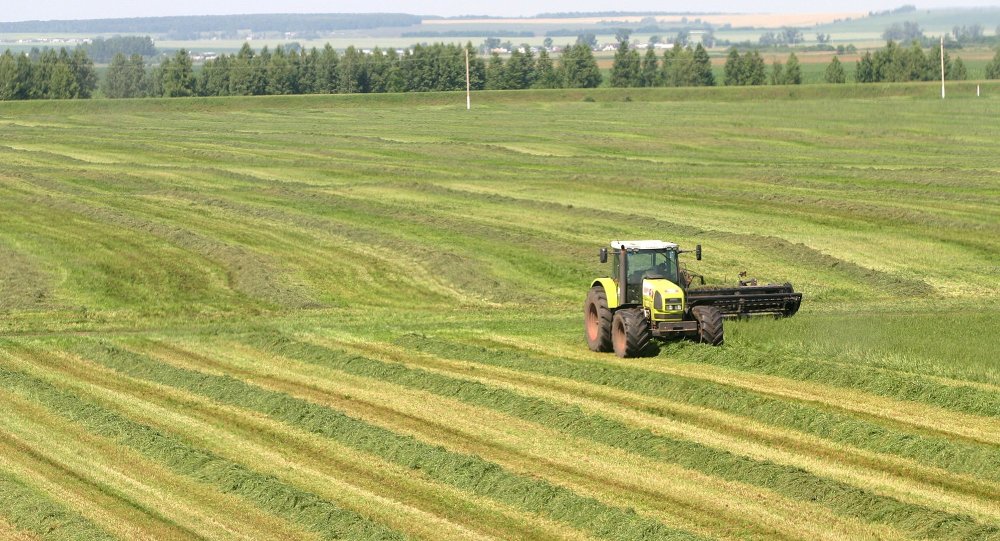 За 10 лет вдвое сократилась площадь земли, обрабатываемой сельхозпроизводителями Ивановской области