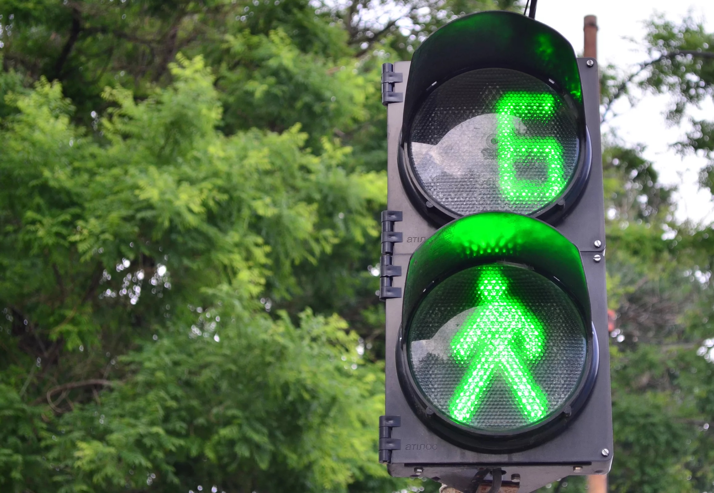 Светофоры всегда зеленые. Зеленый сигнал светофора. Пешеходный светофор. Зеленый свет светофора. Светофор для пешеходов.