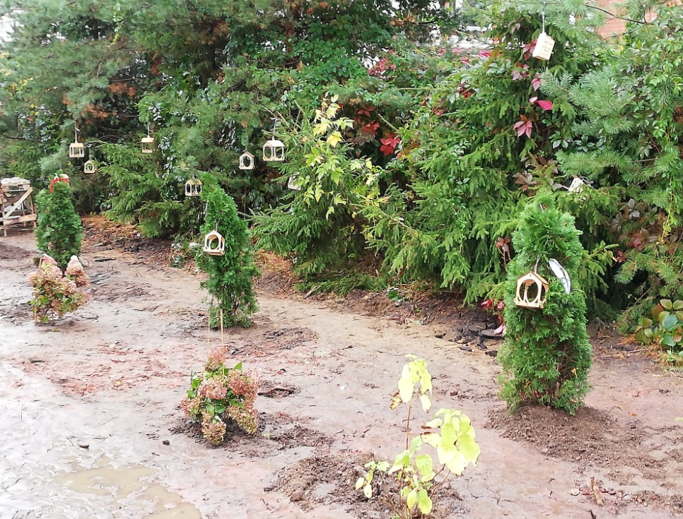 Туристы с теплохода помогли кинешемцам посадить новую аллею (ФОТО)