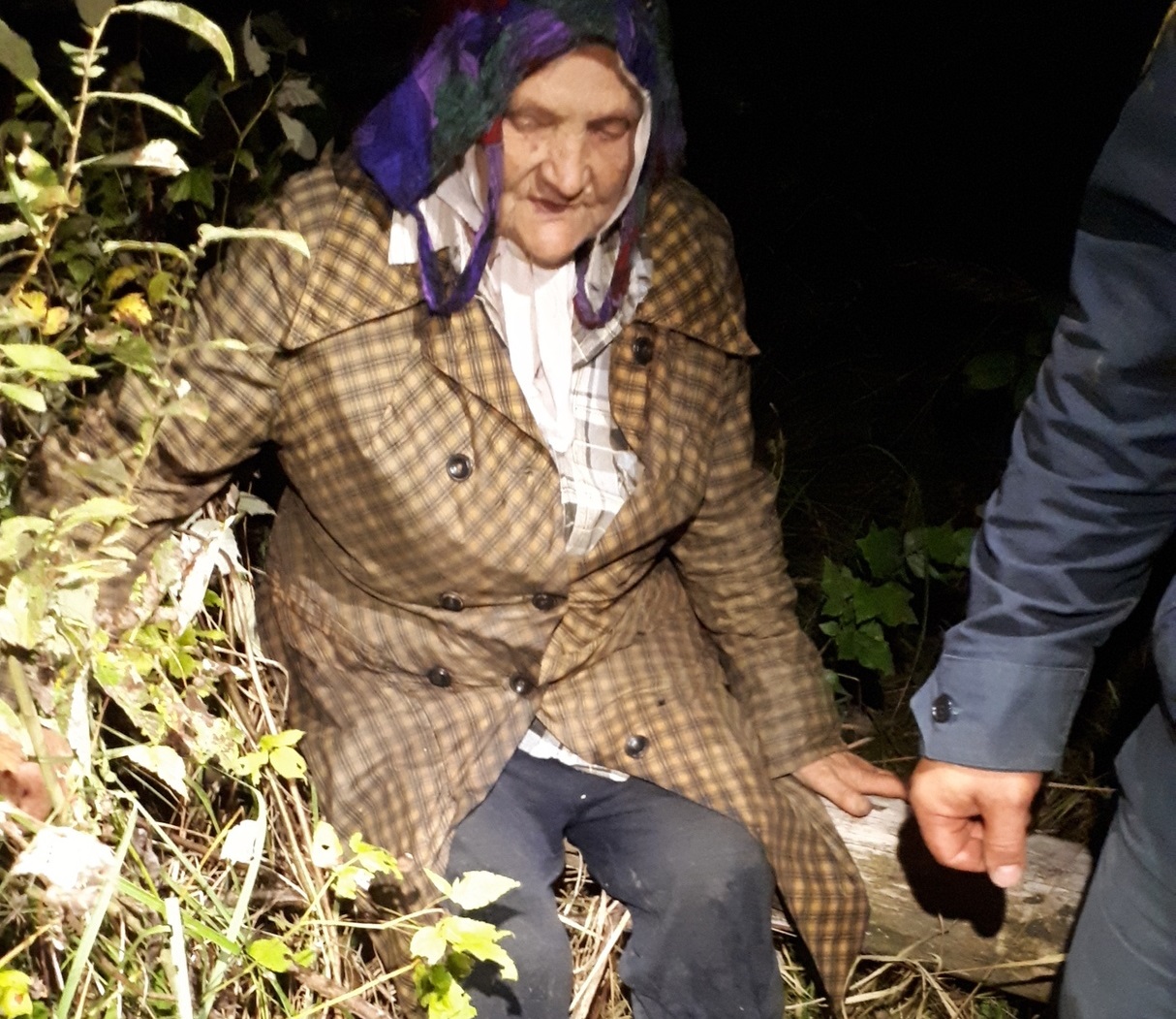 Найденная в лесу Родниковского района бабушка Фаина категорически отказалась оставлять корзину с грибами (ВИДЕО)