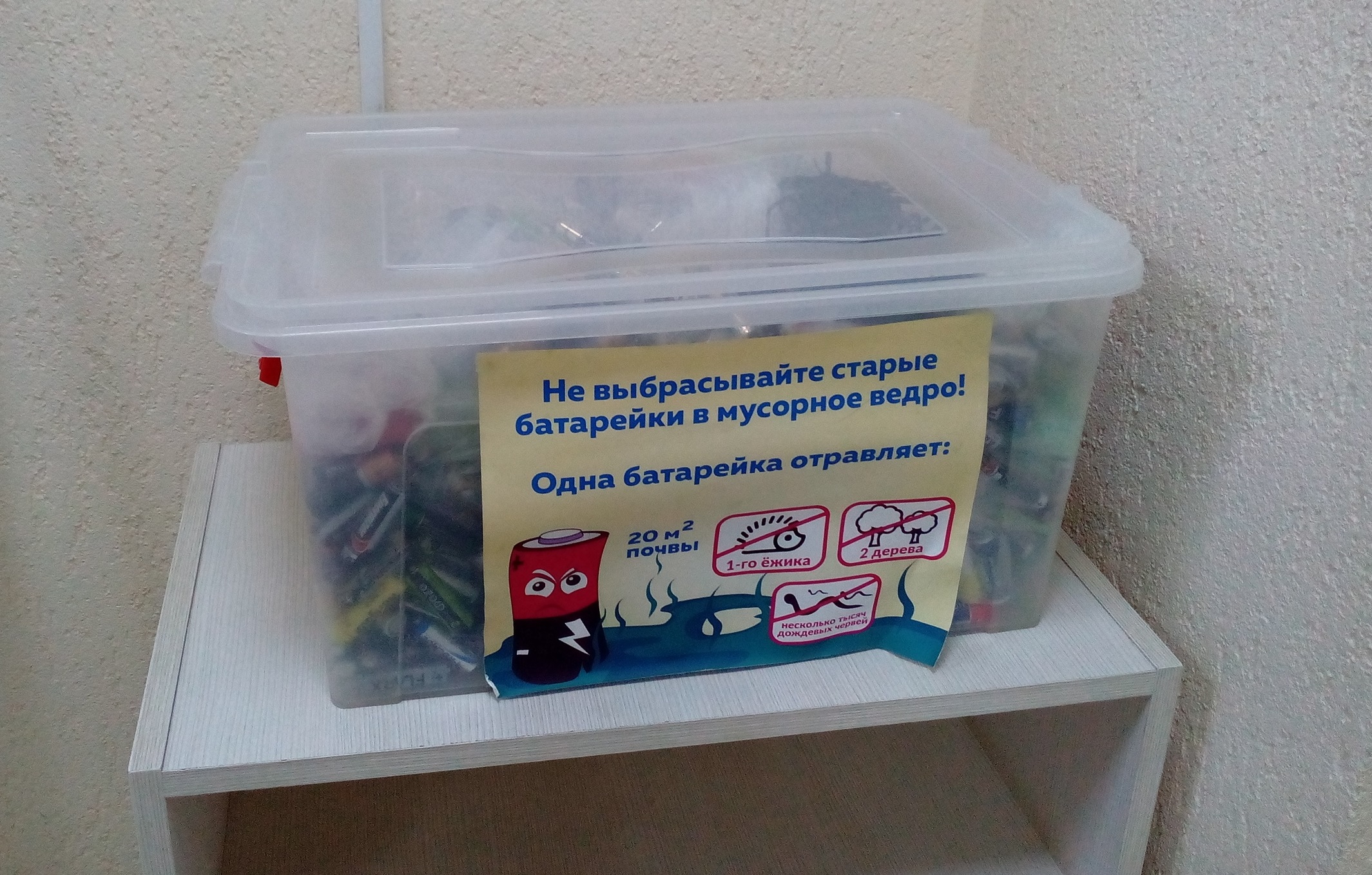 В Иванове стало больше площадок, которые принимают использованные батарейки