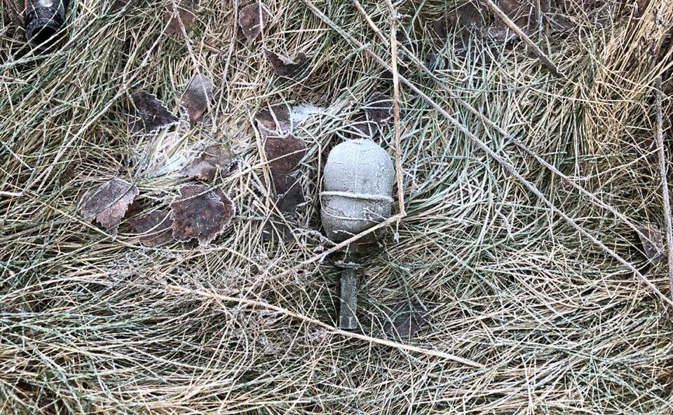 В Кохме местные жители обнаружили предмет, похожий на гранату