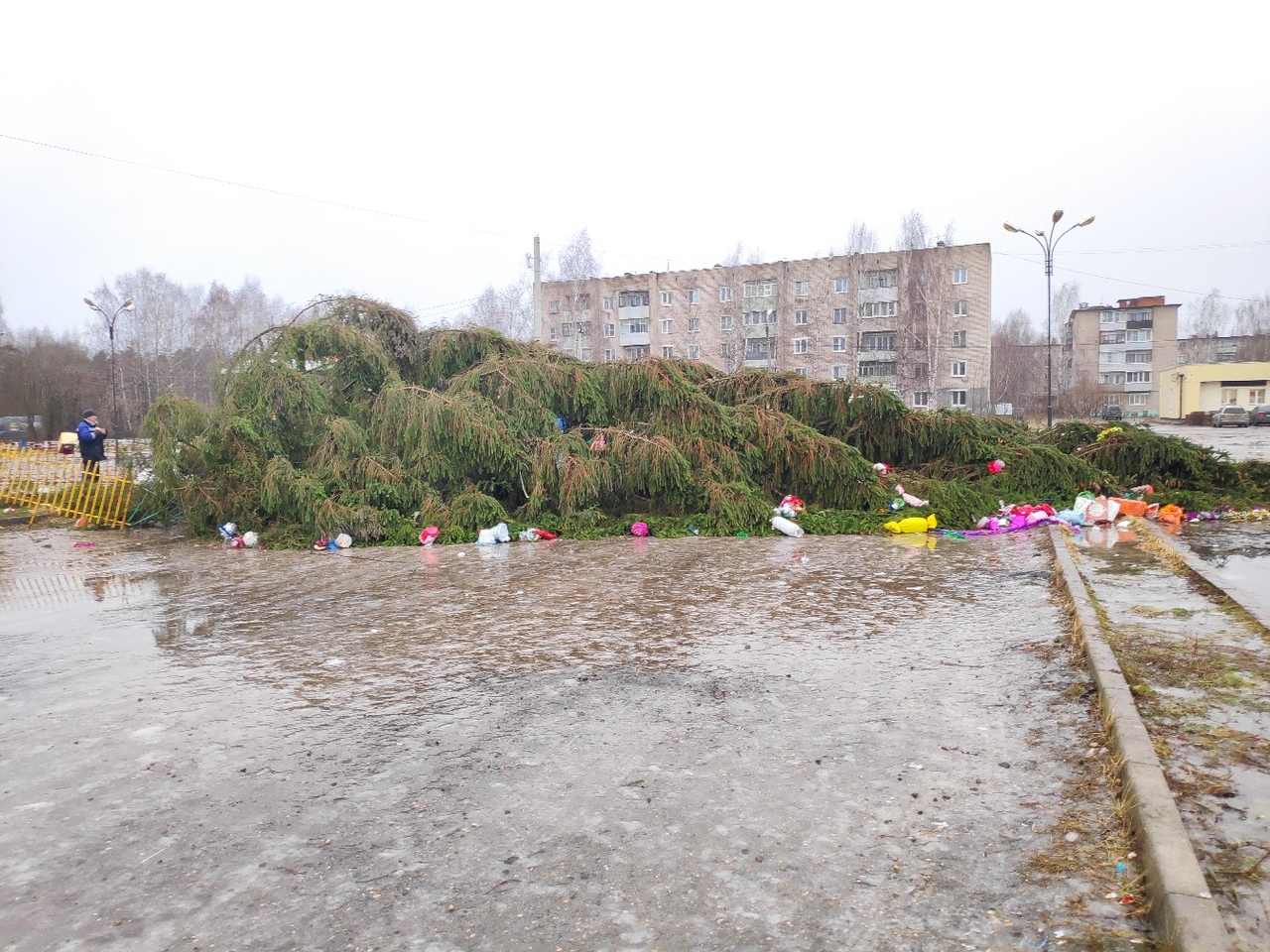 В Заволжске рухнула главная елка города