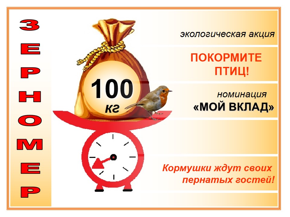 Первый центнер зерна собрали в Иванове для акции «Покормите птиц» (ФОТО)