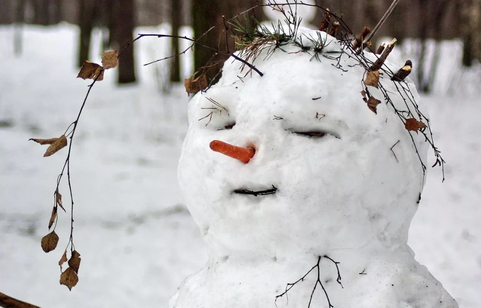 Три снежных кома и морковка: в Кинешме проведут конкурс «Мистер-снеговик»