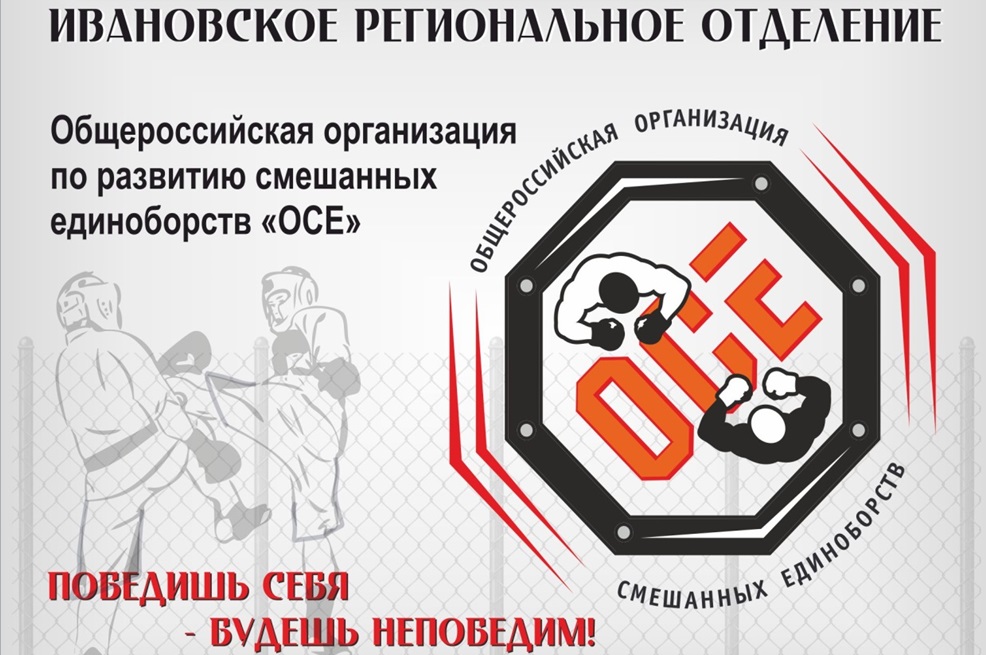 В Иванове устроят межрегиональный турнир по смешанным единоборствам