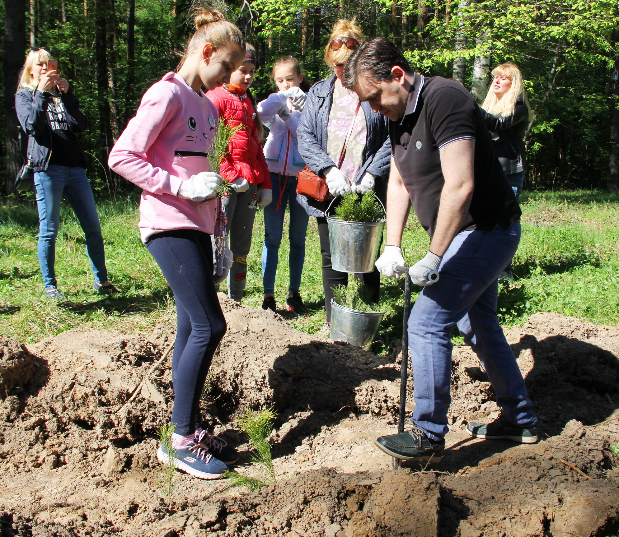 Ивановская область поддержала Всероссийский день посадки леса (ФОТО)