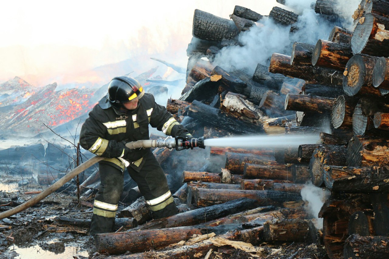 В Ивановской области горел заготовленный лес