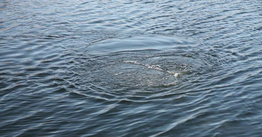 9-летний мальчик в Ивановской области купался со сверстниками и утонул