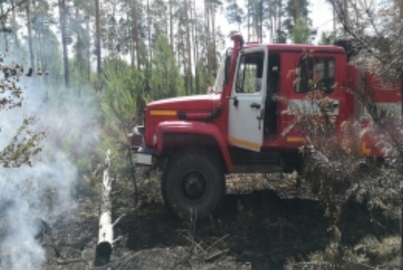 Второй день в Ивановской области лесные пожары
