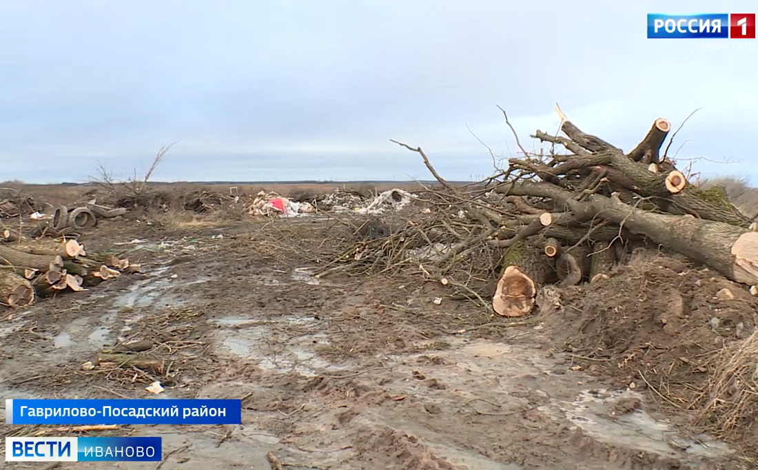 Природоохранная прокуратура требует закрыть полигон в Гаврилово-Посадском районе