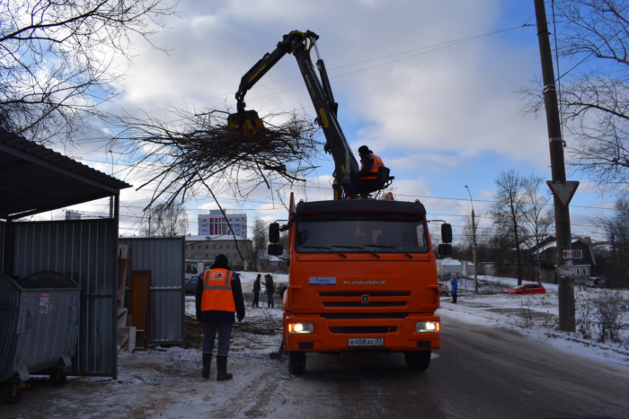 В Иванове начала работать горячая линия по вопросам ликвидации стихийных свалок (ВИДЕО)