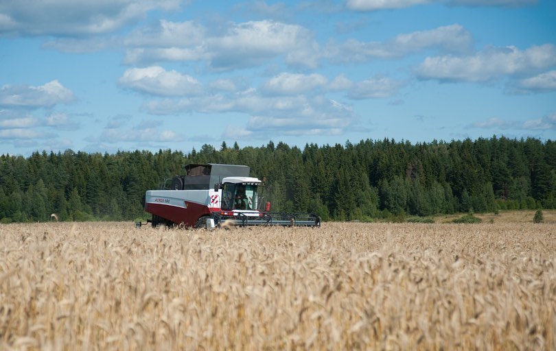 В Ивановской области планируют безвозмездно предоставлять фермерам земли сельхозназначения