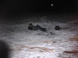 В Ивановской области на льду Волги обнаружен труп мужчины (ФОТО 18+)