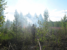 Ивановская область попала в зону риска раннего пожароопасного сезона 