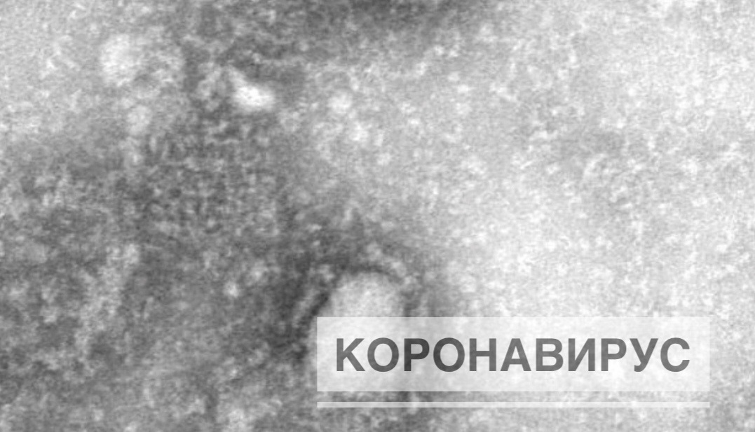 За сутки в Ивановской области выявлено ещё два положительных экспресс-теста на коронавирус