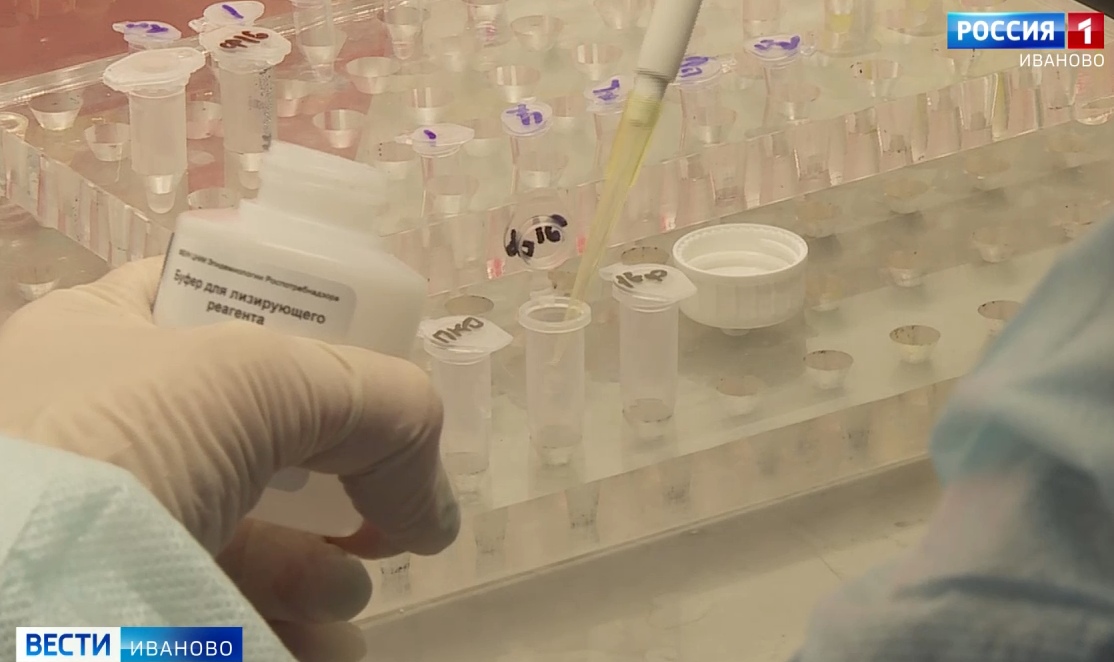 Количество обрабатываемых за сутки тестов на коронавирус в регионе удвоят