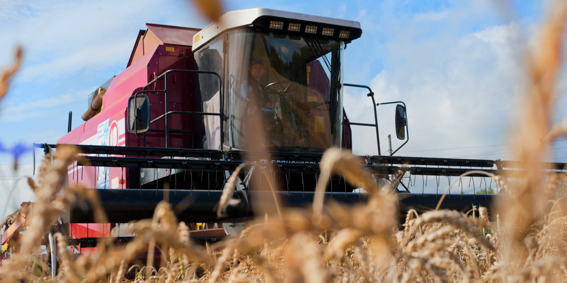Уборку зерновых и зернобобовых культур в регионе планируют завершить в первой декаде сентября