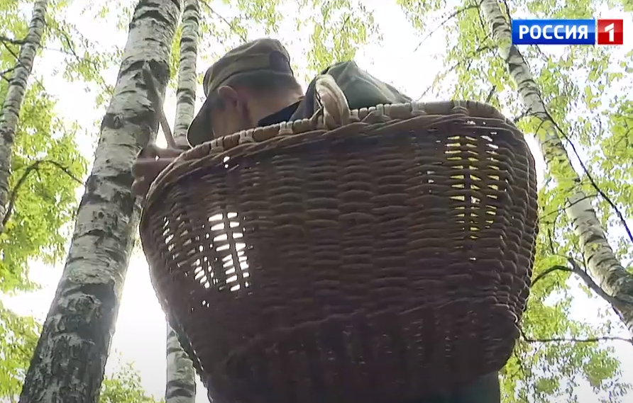 Потерявшегося в лесу 80-летнего грибника из Биберево нашли
