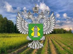 В образовательном учреждении Ивановской области найдена небезопасная ячменная крупа