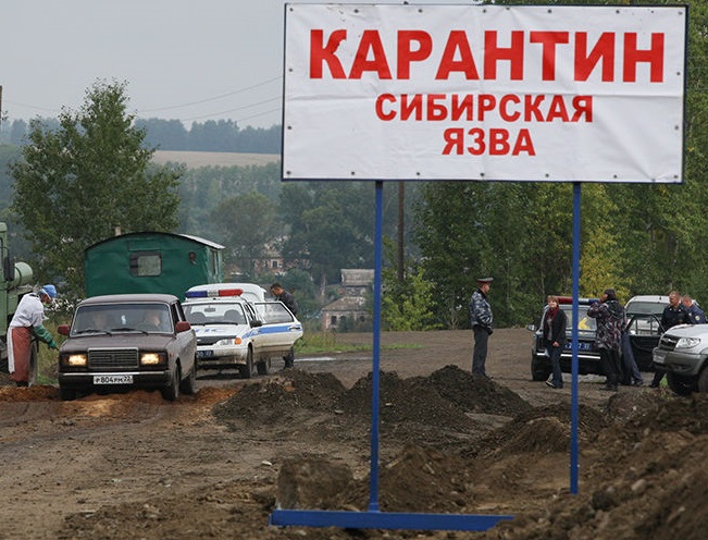 Скотомогильник с сибирской язвой в Ивановской области не соответствовал требованиям