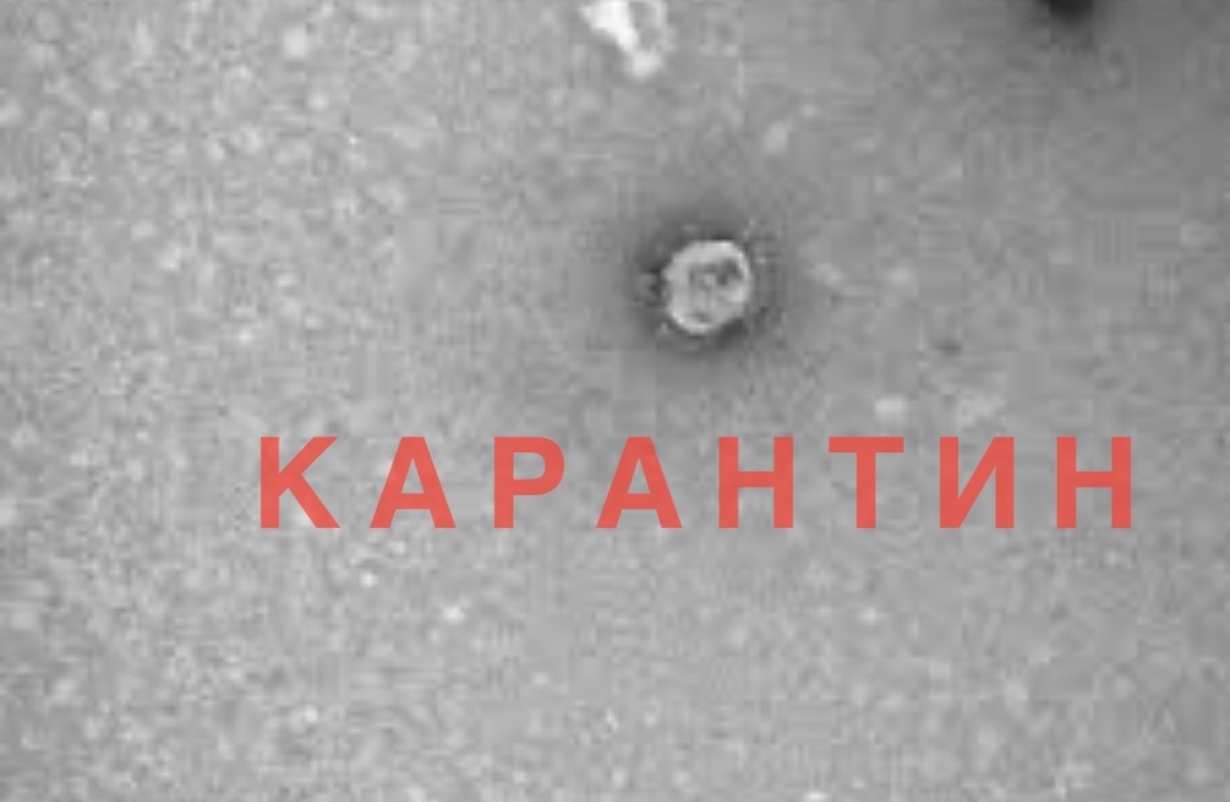 В одной из школ Ивановской области ввели карантин и по гриппу, и по коронавирусу