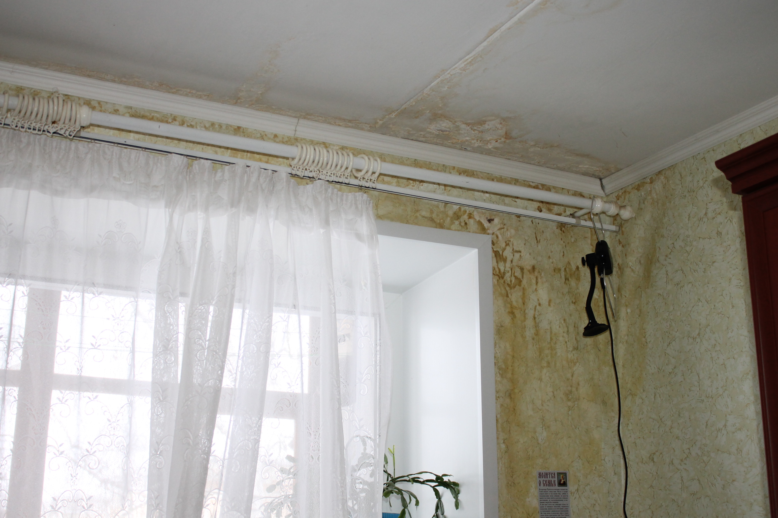 Общественники помогли пенсионерке из Иванова получить от управляющей компании компенсацию за испорченный потолок и имущество