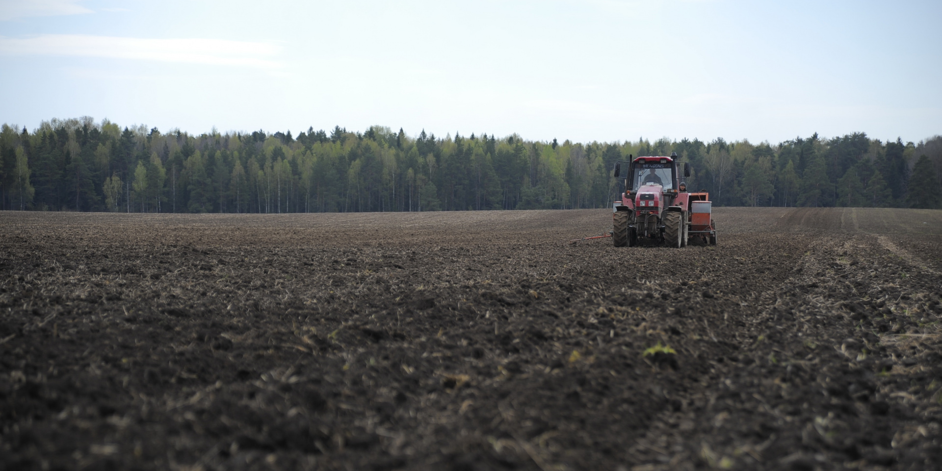 За год в Ивановской области элитными семенами  засеяли более 15 тысяч гектаров 