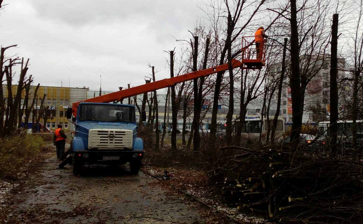 В Иванове кронируют аллею на проспекте Текстильщиков (фото)