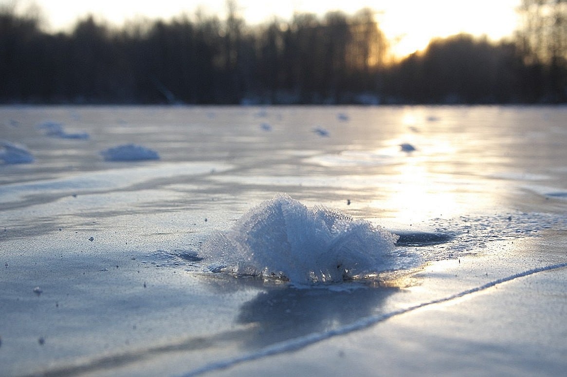 На реках и озерах Ивановской области распустились «ледяные цветы»