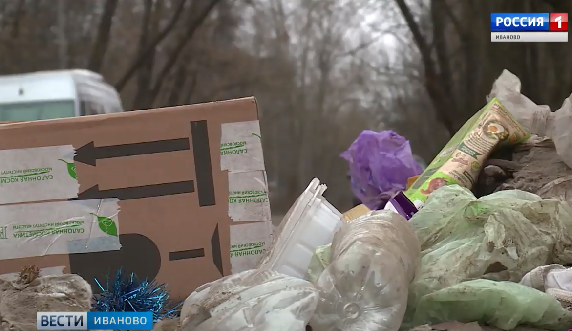 За организацию стихийных свалок в Ивановской области накажут рублём