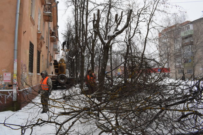 В Иванове сносят опасные деревья
