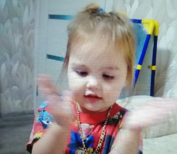 Пропавшая в Иванове трехлетняя девочка была похищена 