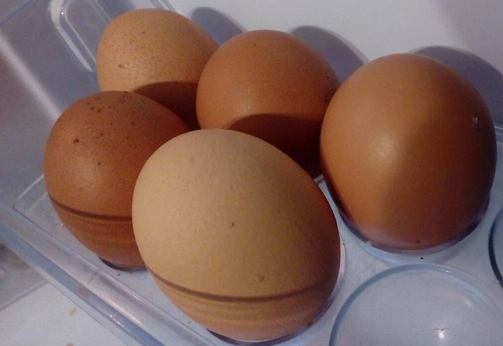 Более 400 миллионов яиц произвели в Ивановской области за год