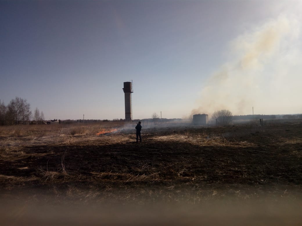 Ситуация с палом травы в Ивановской области ухудшается