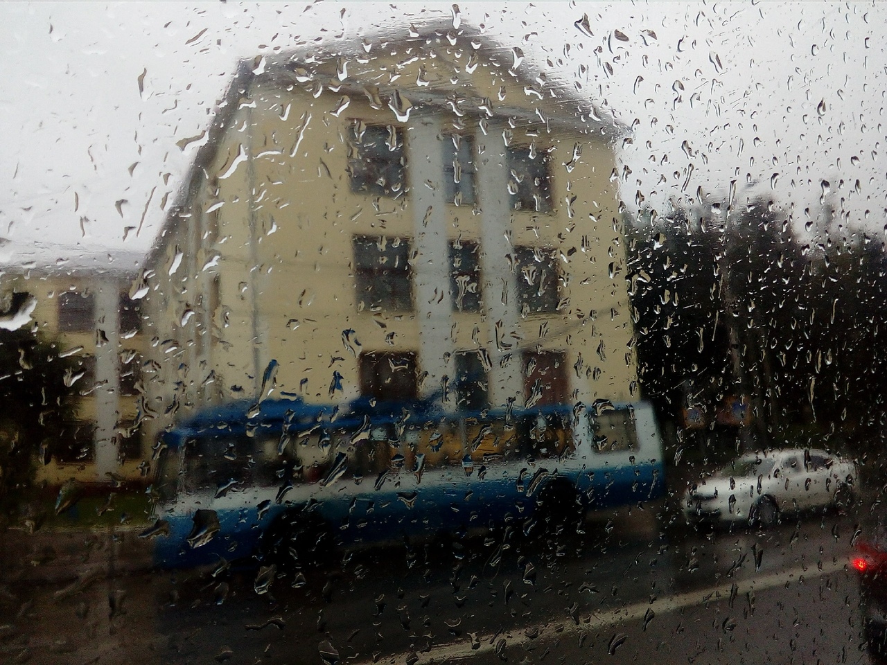 Южный циклон принесет в Ивановскую область дожди и похолодание