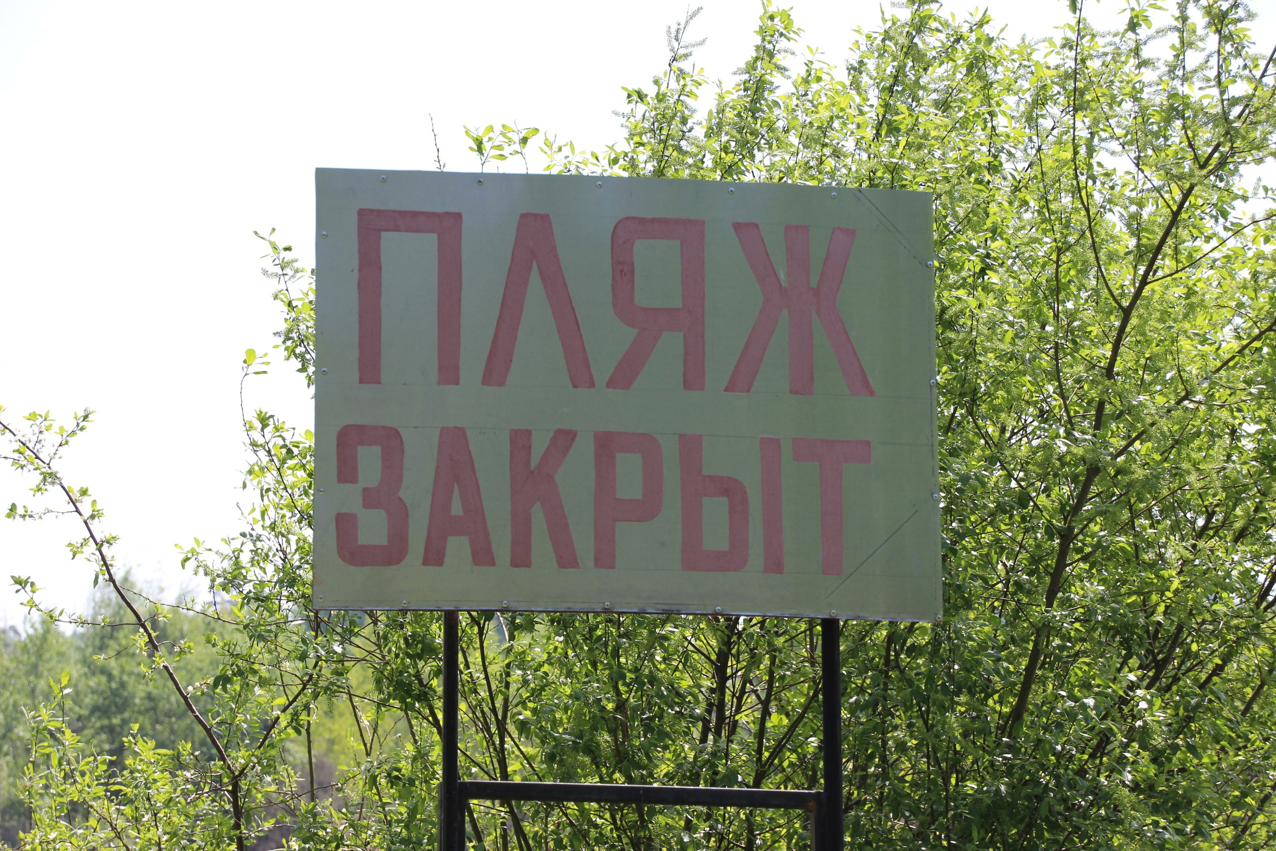 Купания в водоемах Ивановской области начались до открытия сезона